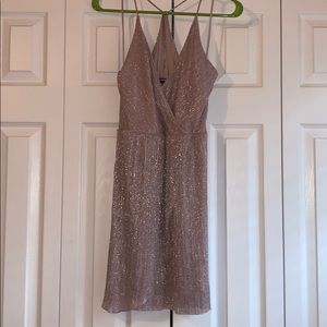 Express Shimmery Dress